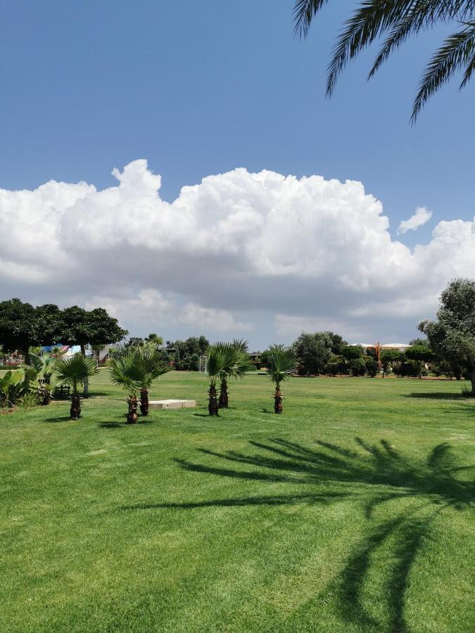Green Apartment In Bafra Northern Cyprus Vokolidha 외부 사진
