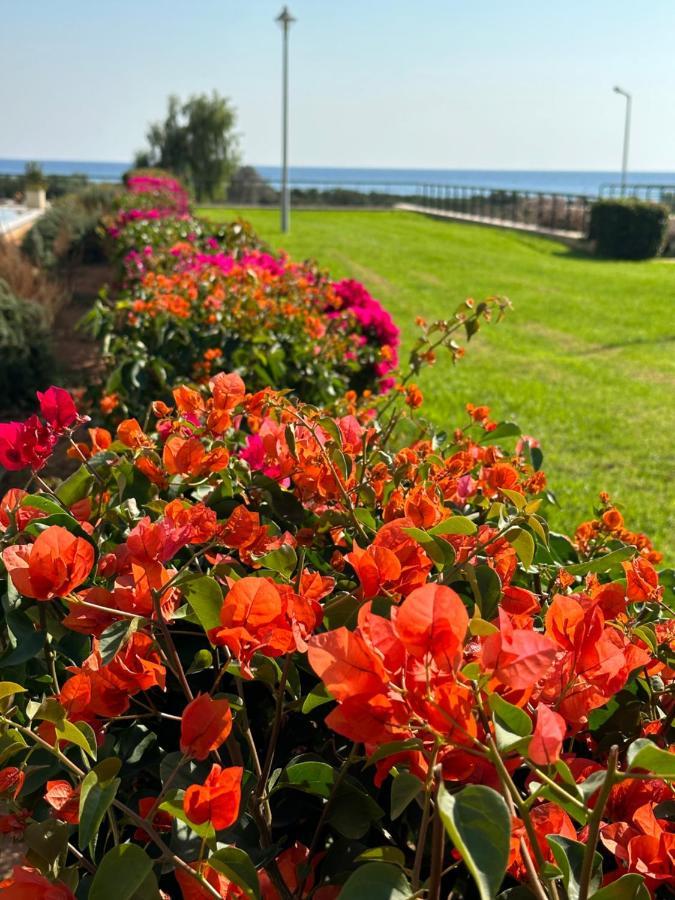 Green Apartment In Bafra Northern Cyprus Vokolidha 외부 사진